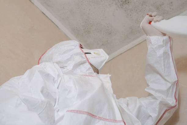 Best Mold Cleaning Services  in Maryville, TN